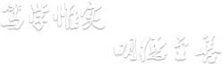 im电竞